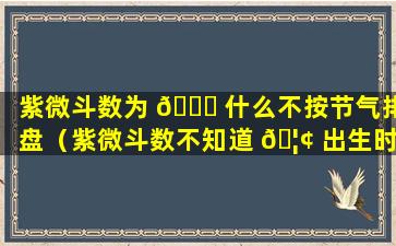 紫微斗数为 💐 什么不按节气排盘（紫微斗数不知道 🦢 出生时间怎么排盘）